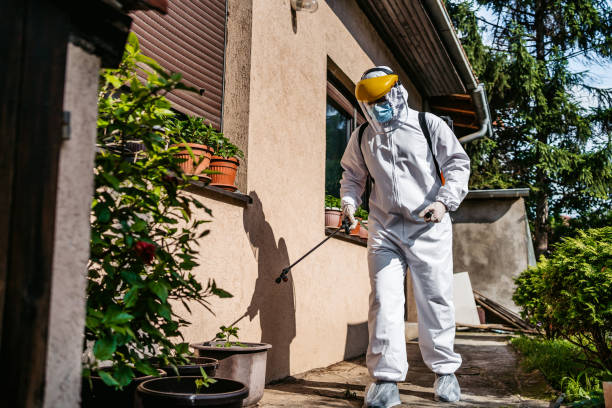 Best Termite Control Services  in Fairfield Beach, OH