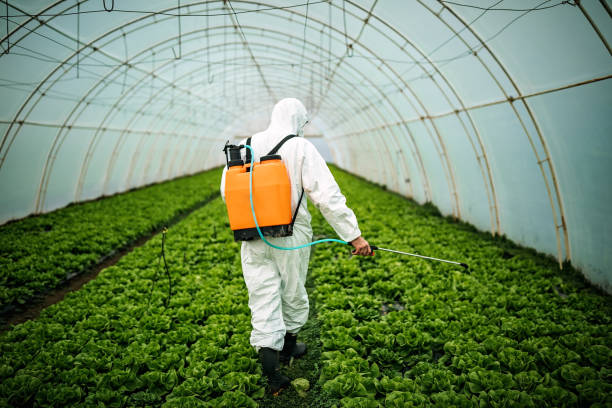 Best Pest Removal Services  in Fairfield Beach, OH