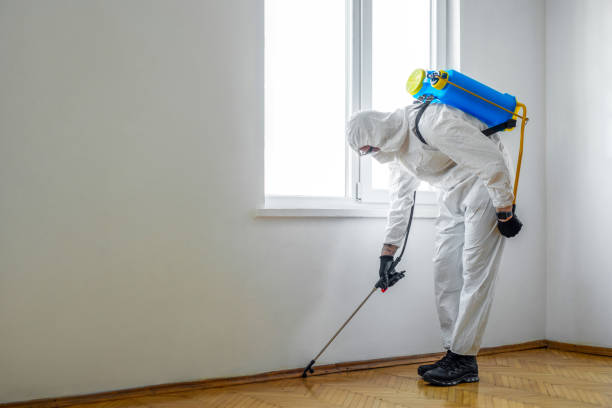 Best Pest Prevention Services  in Fairfield Beach, OH