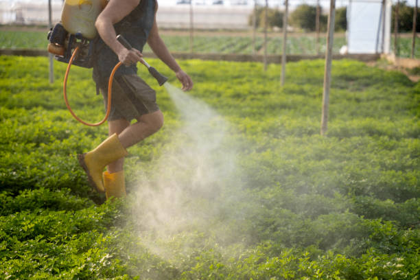 Best Affordable Pest Control Services  in Fairfield Beach, OH