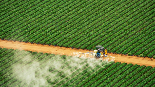 Best Mosquito Control Services  in Fairfield Beach, OH