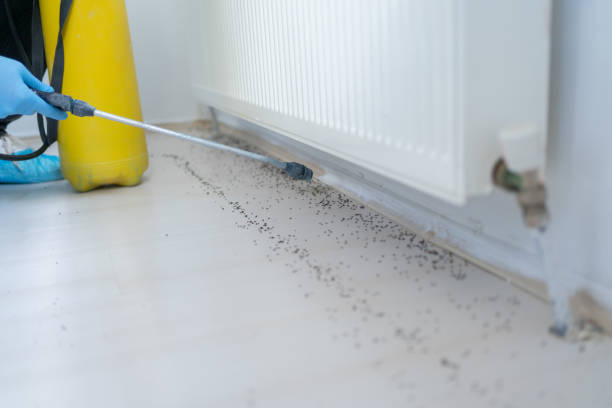 Best Pest Prevention Services  in Fairfield Beach, OH